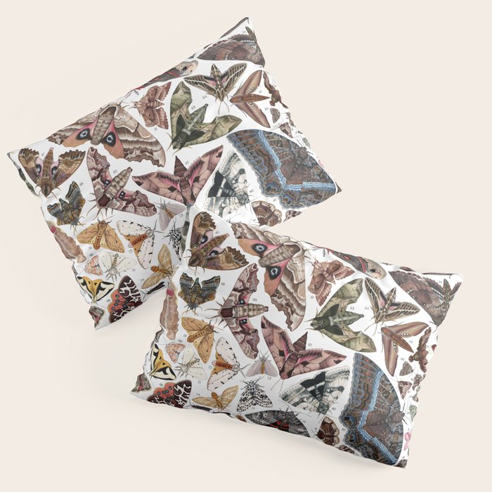 Moths of North America Pillow Sham Gallery Image 3