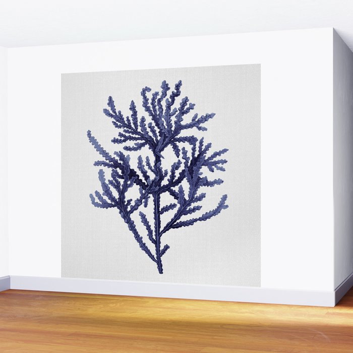 Seaweed 8 Wall Mural Gallery Image 2