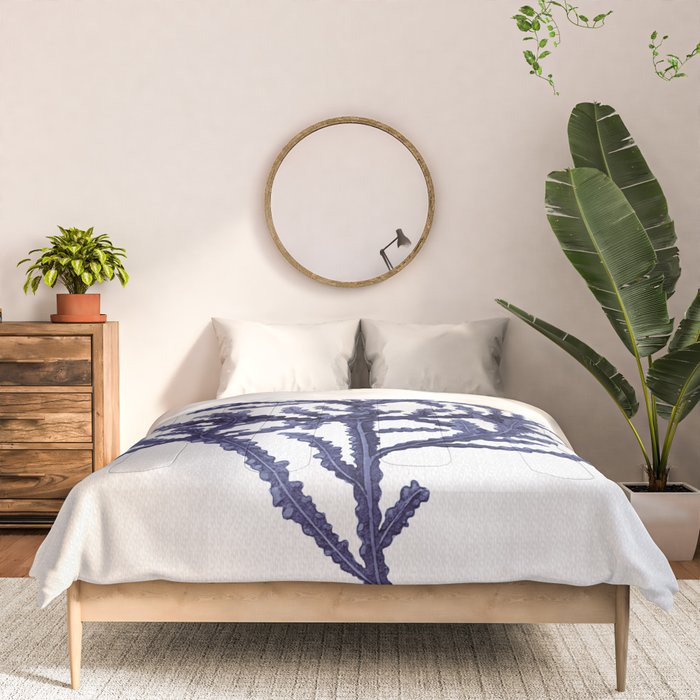 Seaweed 8 Comforter Gallery Image 3