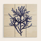 Seaweed 8 Wood Wall Art Gallery Image 1