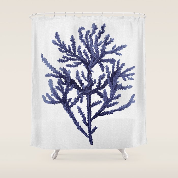 Seaweed 8 Shower Curtain Gallery Image 1