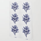 Seaweed 8 Wallpaper Gallery Image 2
