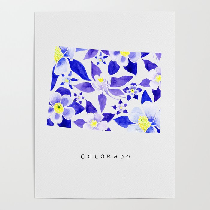 Colorado State Flower - Blue Columbine Poster Gallery Image 1