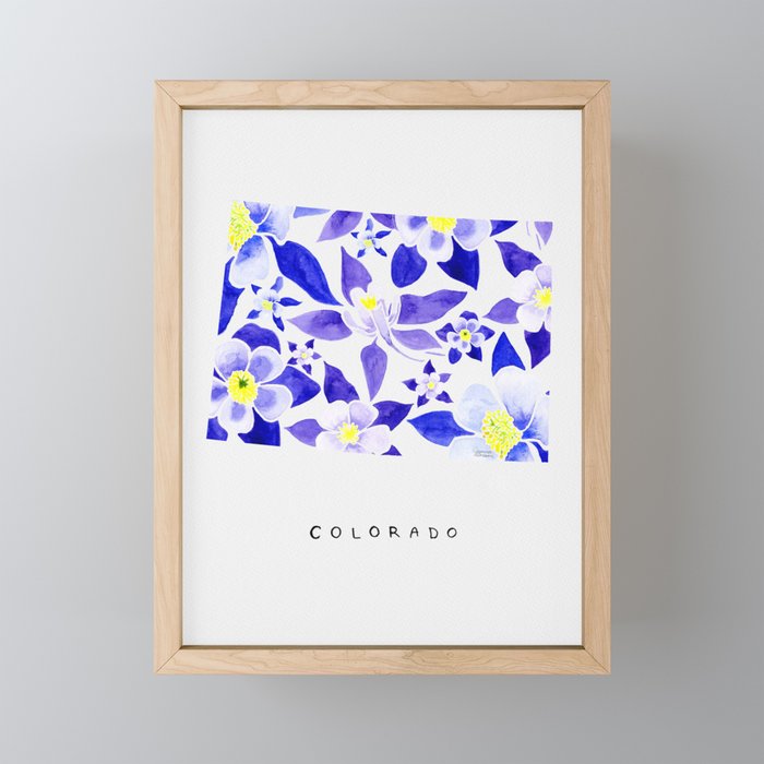 Colorado State Flower - Blue Columbine Mini Art Print Gallery Image 1
