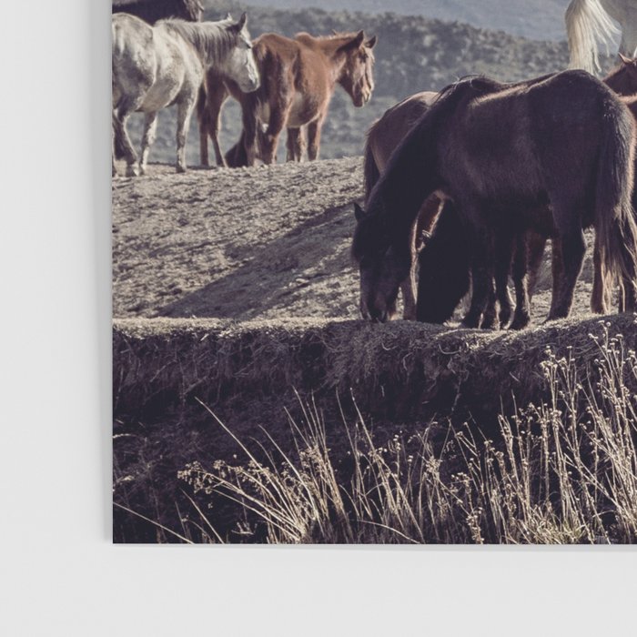 Wild Horses Poster Gallery Image 3