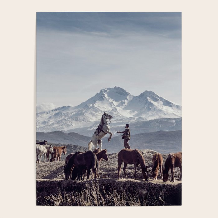 Wild Horses Poster Gallery Image 4
