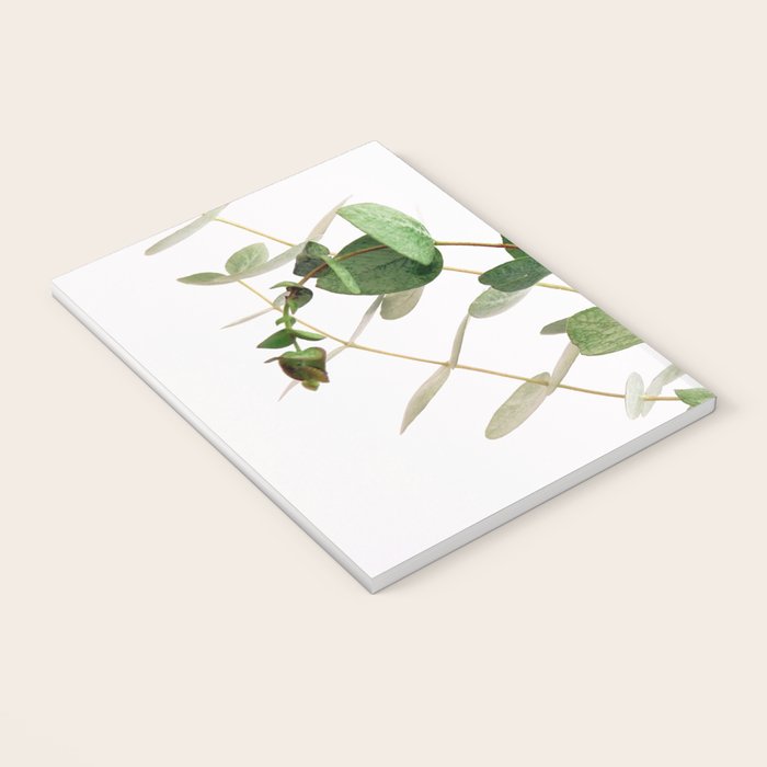 Eucalyptus Notebook Gallery Image 3