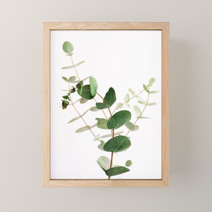 Eucalyptus Mini Art Print Gallery Image 1