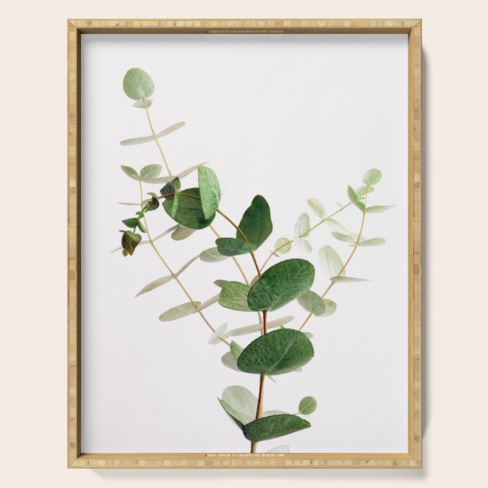 Eucalyptus Serving Tray Gallery Image 1