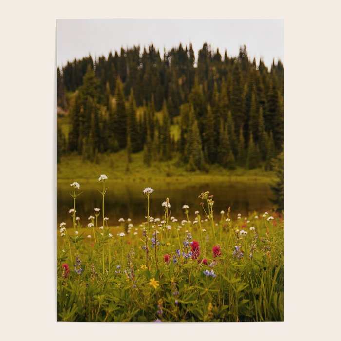 Mount Rainier Wildflower Field Poster Gallery Image 4