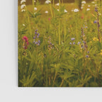 Mount Rainier Wildflower Field Poster Gallery Image 3