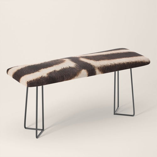 Zebra - Zebra Stripes -Zebra Skin - Genuine - Beautiful  Bench