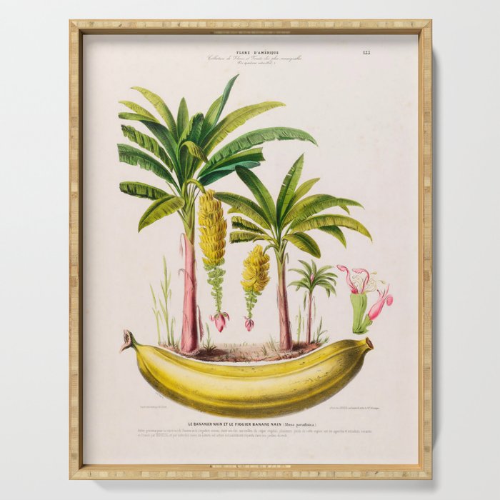 Banana from "Flore dâAmÃ©rique" by Ãtienne Denisse, 1840s Serving Tray Gallery Image 1
