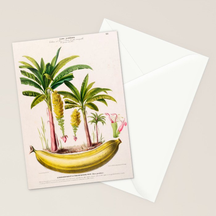 Banana from "Flore dâAmÃ©rique" by Ãtienne Denisse, 1840s Stationery Card Gallery Image 2