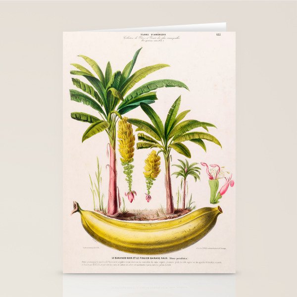 Banana from "Flore dâAmÃ©rique" by Ãtienne Denisse, 1840s Stationery Card Gallery Image 2