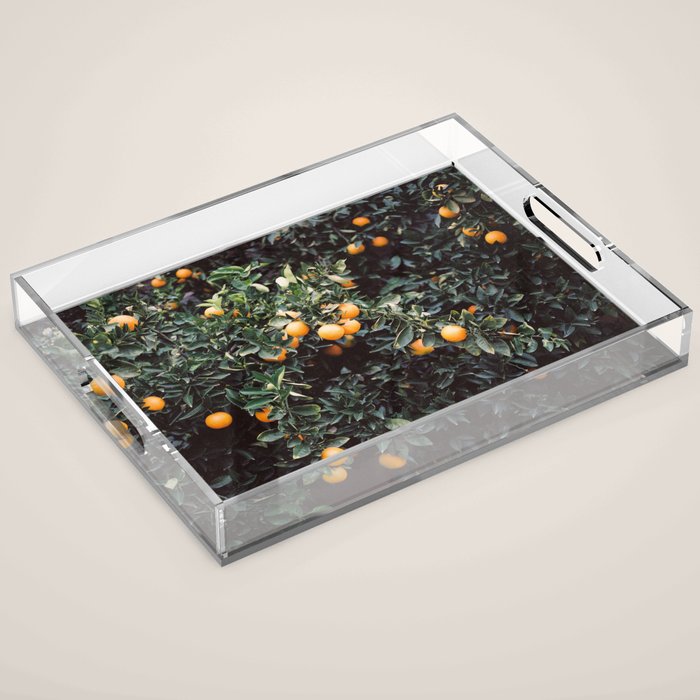 Oranges | Moody colorful travel photography | Botanical green wall with oranges Acrylic Tray Gallery Image 1