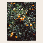 Oranges | Moody colorful travel photography | Botanical green wall with oranges Poster Gallery Image 4