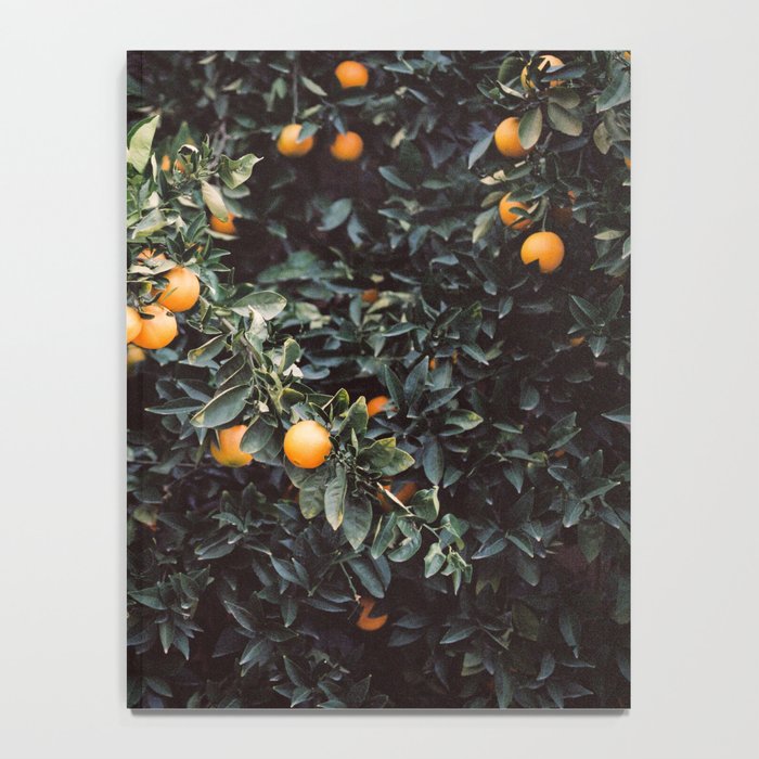 Oranges | Moody colorful travel photography | Botanical green wall with oranges Notebook Gallery Image 4