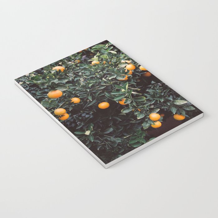 Oranges | Moody colorful travel photography | Botanical green wall with oranges Notebook Gallery Image 3