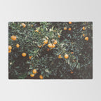 Oranges | Moody colorful travel photography | Botanical green wall with oranges Rug Gallery Image 2