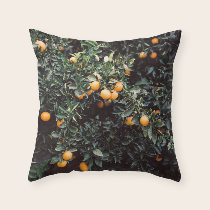 Oranges | Moody colorful travel photography | Botanical green wall with oranges Throw Pillow Gallery Image 6