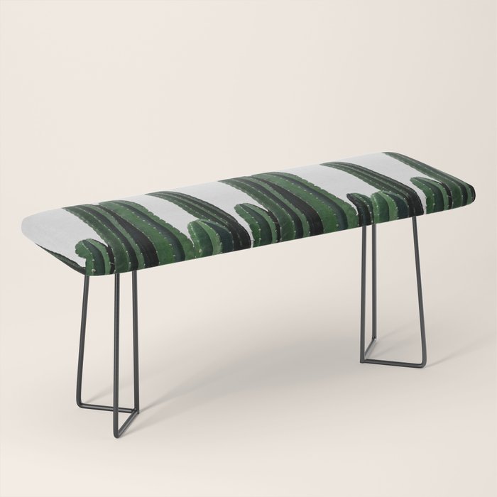 Cactus I Bench Gallery Image 1