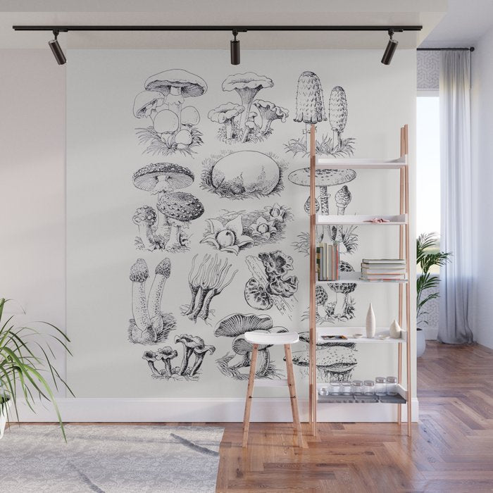 Mushroom Collection Wall Mural Gallery Image 1