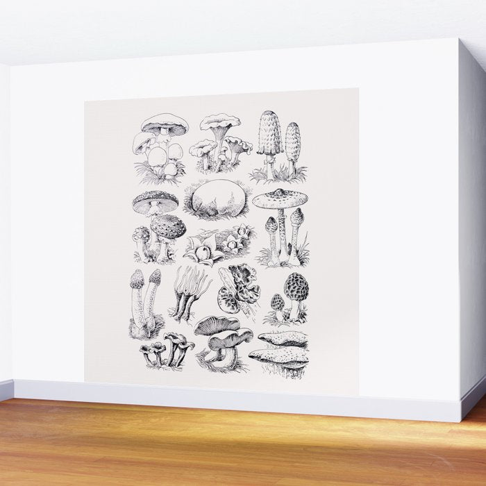 Mushroom Collection Wall Mural Gallery Image 2