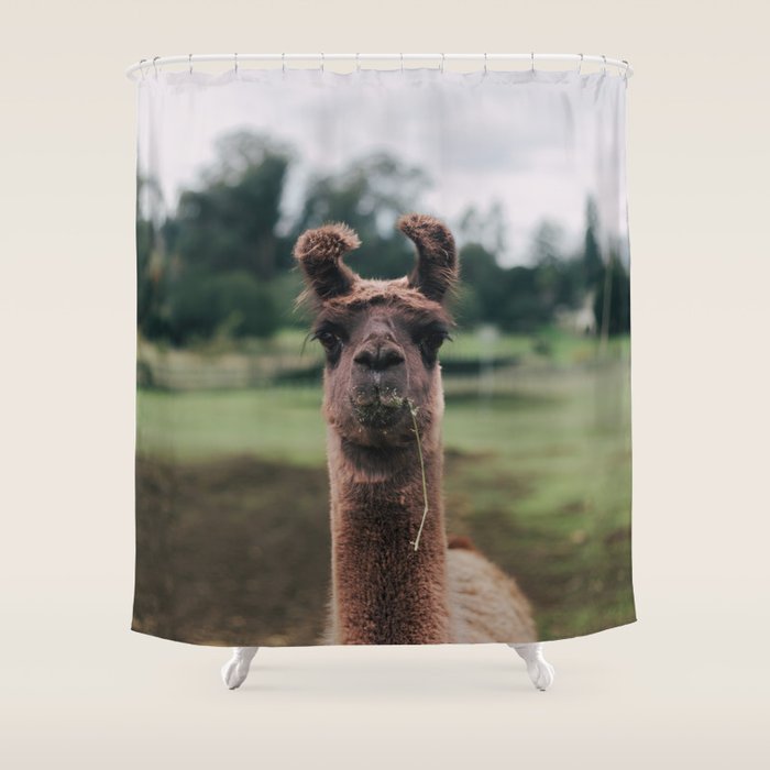 Rosabell Shower Curtain Gallery Image 1