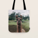 Rosabell Tote Bag Gallery Image 1