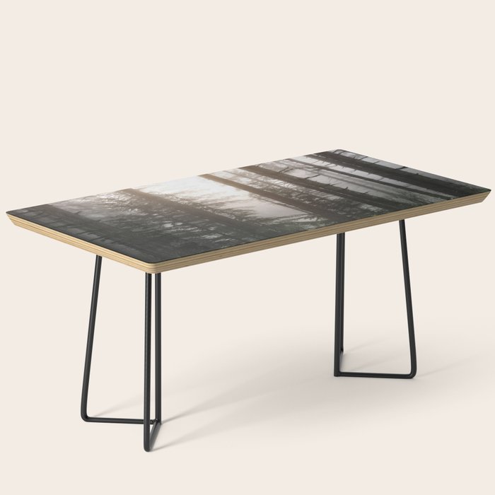 Pacific Northwest Forest Fog Adventures Coffee Table Gallery Image 1