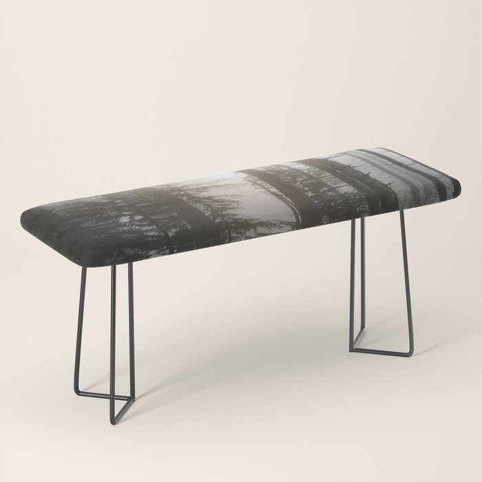 Pacific Northwest Forest Fog Adventures Bench Gallery Image 1