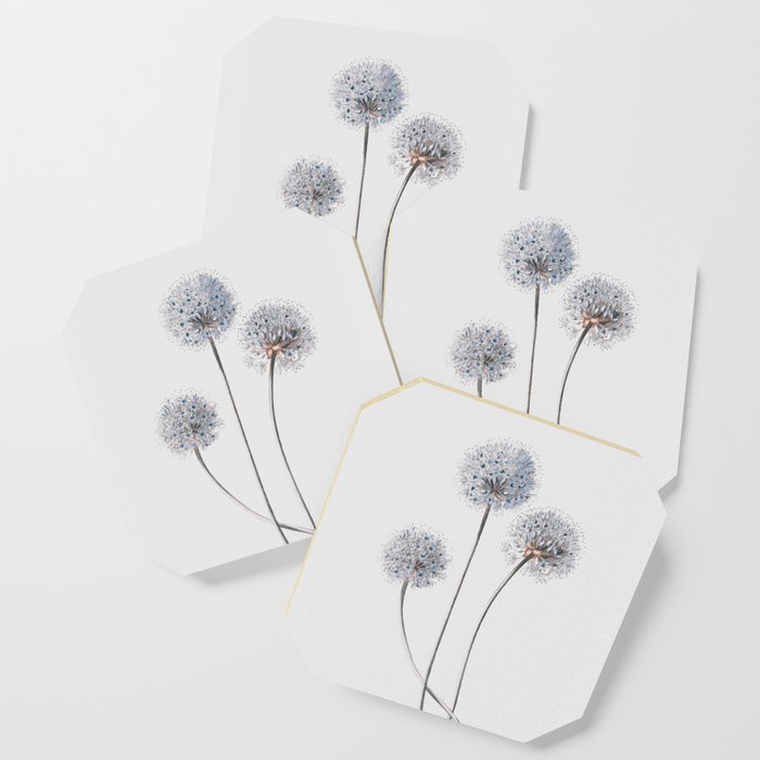 Dandelion 2 Coaster Gallery Image 1