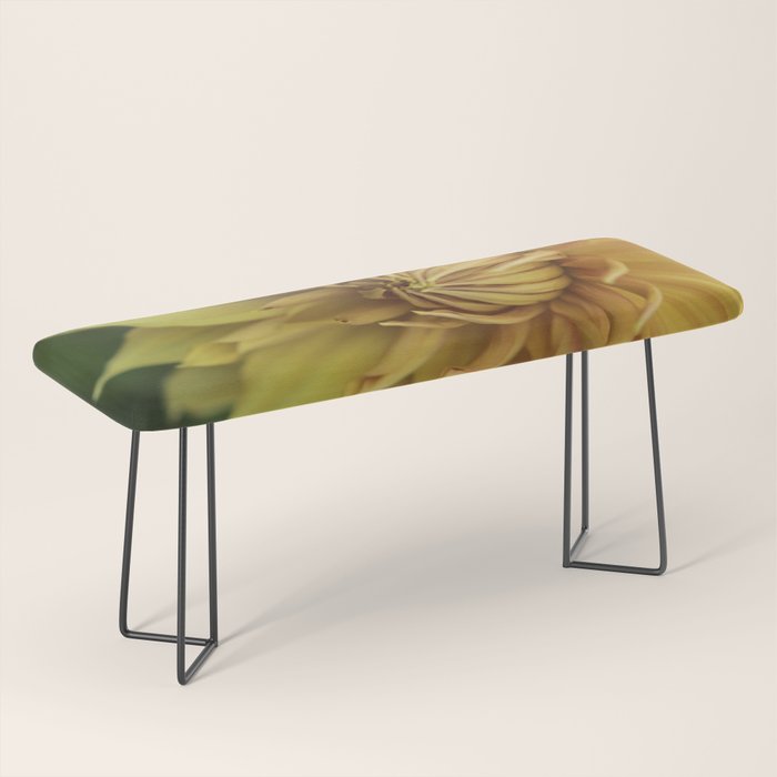 Sunny Disposition x Yellow Dahlia flower botanical photograph Bench Gallery Image 1