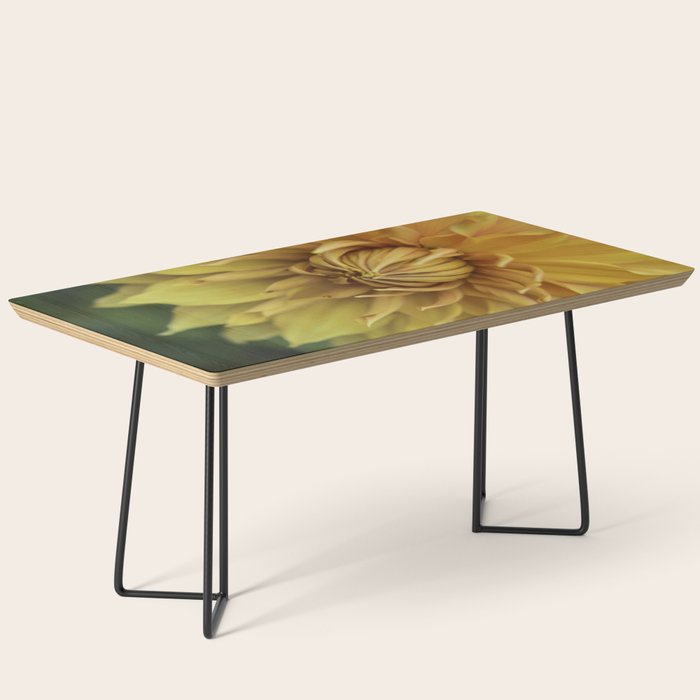 Sunny Disposition x Yellow Dahlia flower botanical photograph Coffee Table Gallery Image 1