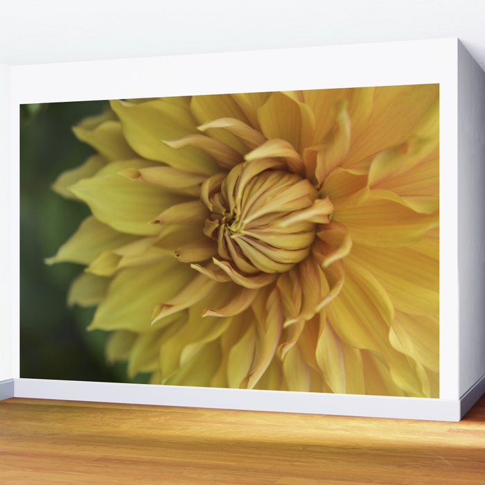 Sunny Disposition x Yellow Dahlia flower botanical photograph Wall Mural Gallery Image 2
