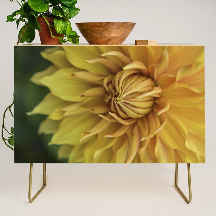 Sunny Disposition x Yellow Dahlia flower botanical photograph Credenza Gallery Image 1