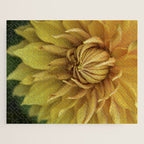 Sunny Disposition x Yellow Dahlia flower botanical photograph Jigsaw Puzzle Gallery Image 1