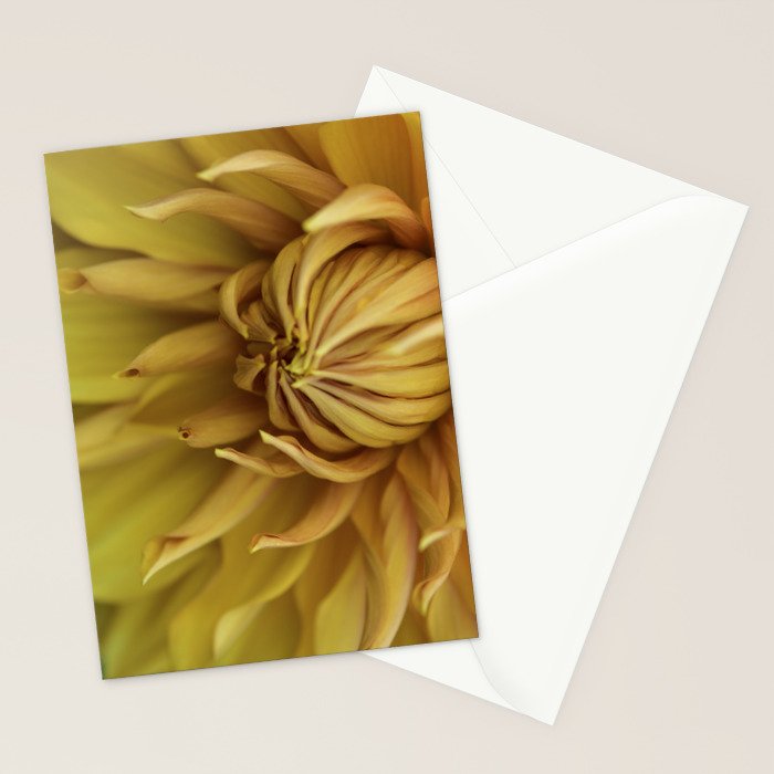 Sunny Disposition x Yellow Dahlia flower botanical photograph Stationery Card Gallery Image 2