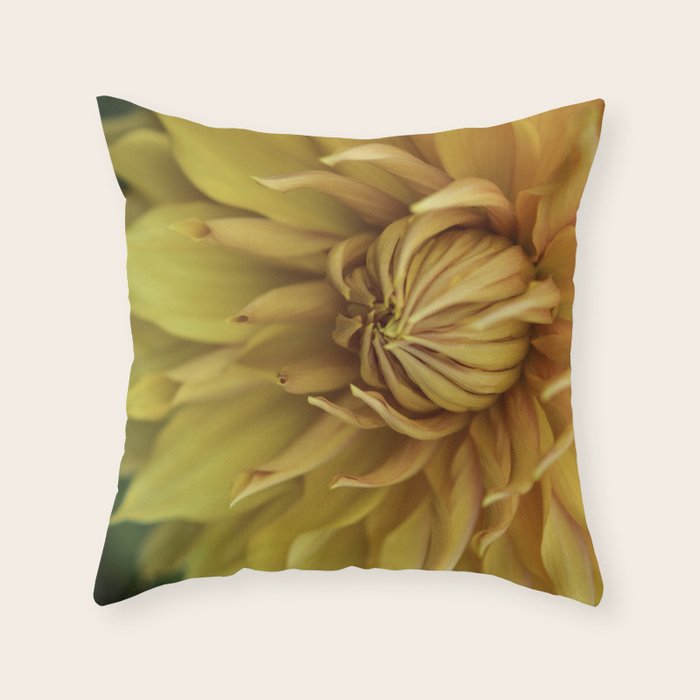 Sunny Disposition x Yellow Dahlia flower botanical photograph Throw Pillow Gallery Image 6