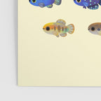 Killifish! - yellow Poster Gallery Image 3