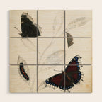 Butterfly metamorphosis by Philip Henry Gosse, 1833  Wood Wall Art Gallery Image 1