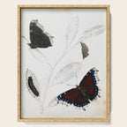 Butterfly metamorphosis by Philip Henry Gosse, 1833  Serving Tray Gallery Image 1