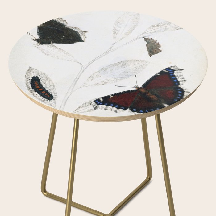Butterfly metamorphosis by Philip Henry Gosse, 1833  Side Table Gallery Image 2