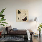 Butterfly metamorphosis by Philip Henry Gosse, 1833  Wood Wall Art Gallery Image 2