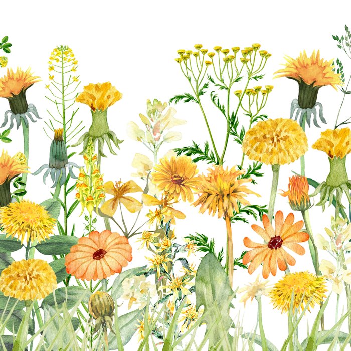 Yellow Scandinavian Wildflowers  Meadow  Coffee Mug Gallery Image 2