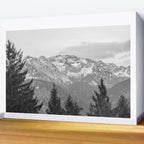 Mountain Forest Wall Mural Gallery Image 2