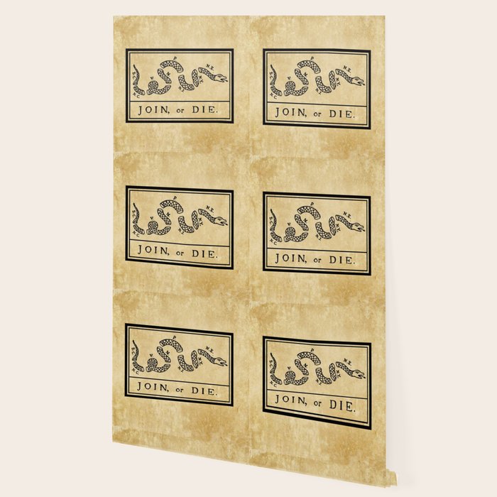 1776 "Join, or Die" Revolutionary War flag with 13 colonies, snake & no colors by Benjamin Franklin Wallpaper Gallery Image 2