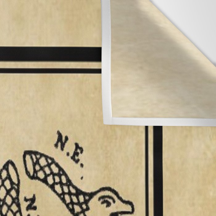 1776 "Join, or Die" Revolutionary War flag with 13 colonies, snake & no colors by Benjamin Franklin Wall Tapestry Gallery Image 3