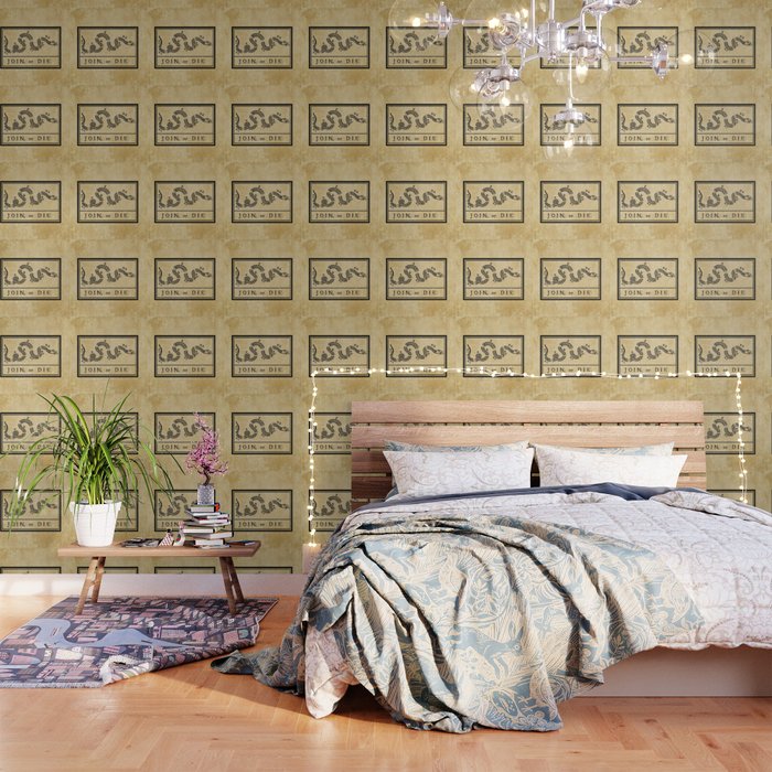 1776 "Join, or Die" Revolutionary War flag with 13 colonies, snake & no colors by Benjamin Franklin Wallpaper Gallery Image 1